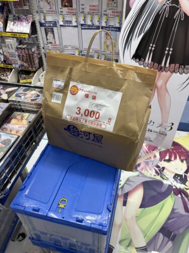 夏だよ！2025年の駿河屋3,000円エロゲ福袋！
