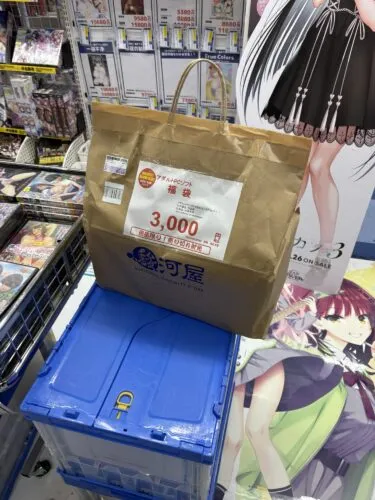 夏だよ！2025年の駿河屋3,000円エロゲ福袋！