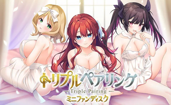 トリプルペアリング ミニファンディスク